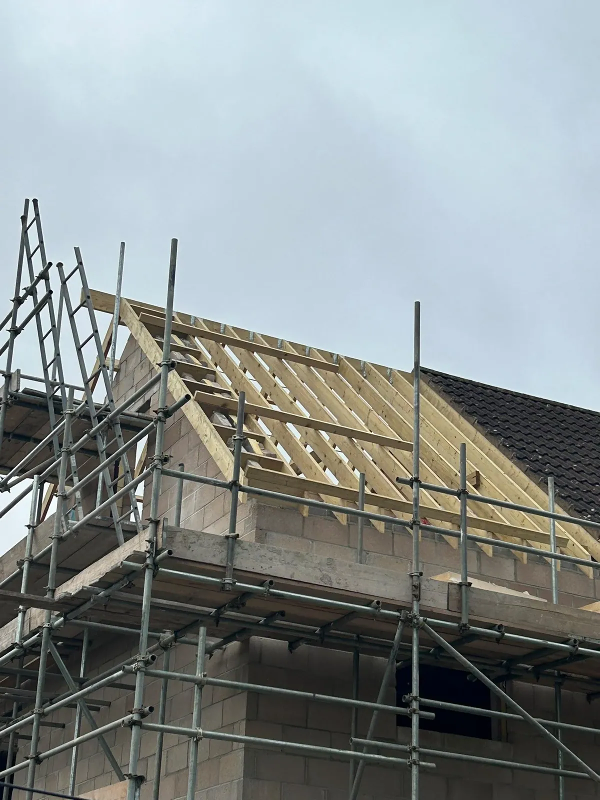 Cut roof blockwork scaffold 09 – cut & truss roofs by JCK Carpentry & Building, Exeter